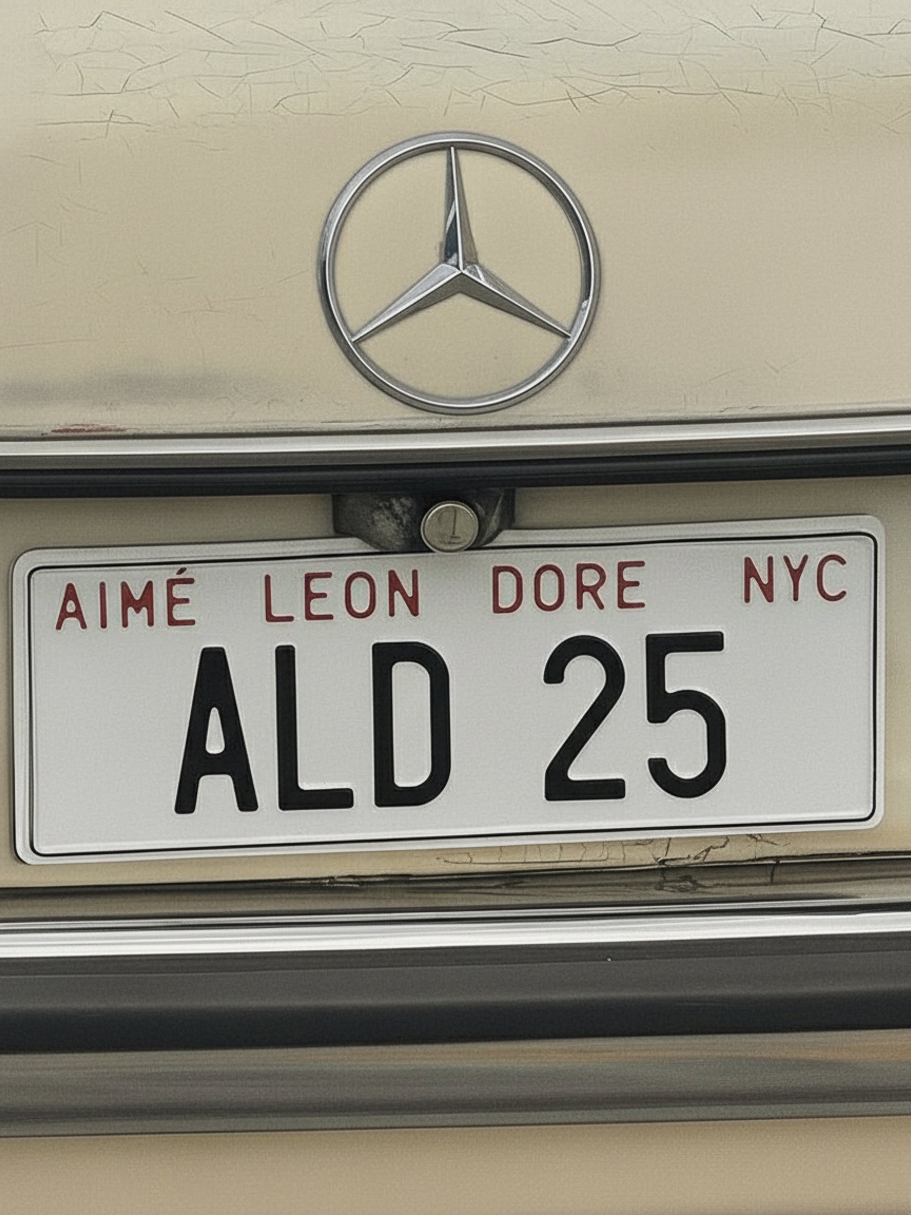 Aime Leon Dore concept